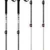 MSR DynaLock Explore Adjustable Ski & Snowboard Poles