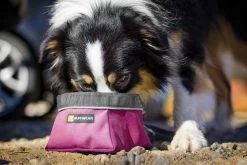Ruffwear Quencher Dog Water/Food Bowl 13 Ruffwear Quencher Dog Water/Food Bowl -Comprehensive outdoor sports 25ce9e65 dd33 4e62 b738 7c996db9faff20501 quencher purpledusk web 1