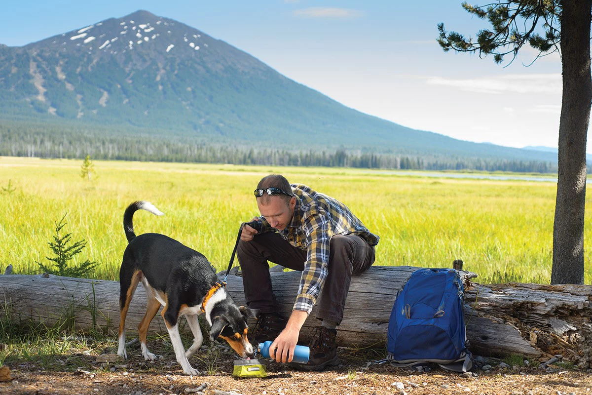 Ruffwear Quencher Dog Water/Food Bowl 7 Ruffwear Quencher Dog Water/Food Bowl - Image 7