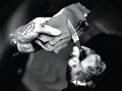 Gerber Wingtip Clip Folding Pocket Knife 20 Gerber Wingtip Clip Folding Pocket Knife -Comprehensive outdoor sports 91fc7d4f dbdc 426e a825 10329b46e147wt2