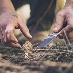 Gerber Asada Folding Pocket Cleaver -Comprehensive outdoor sports Gerber Asada 001