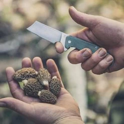 Gerber Asada Folding Pocket Cleaver -Comprehensive outdoor sports Gerber Asada 003s