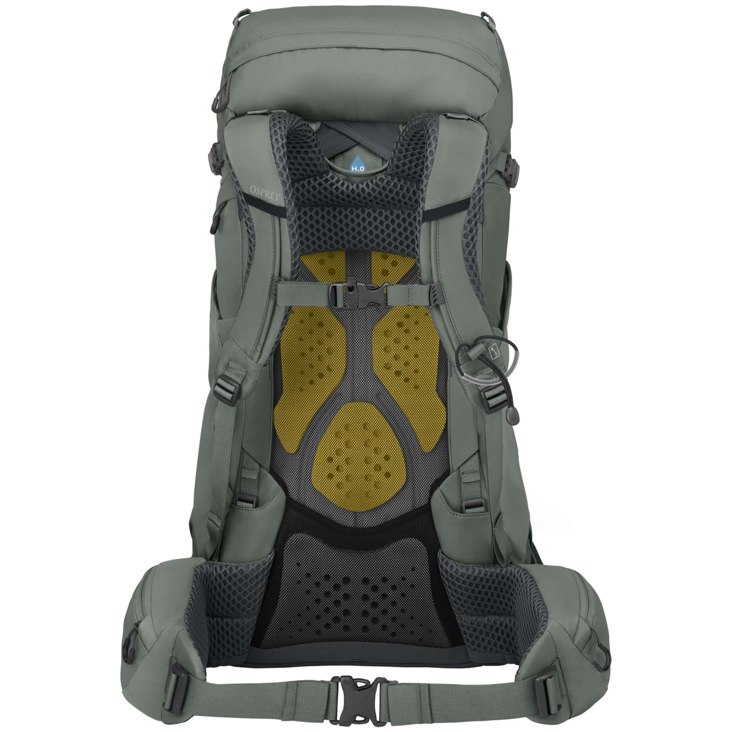 Osprey Kyte 38 Women's Trekking Backpack 3 Osprey Kyte 38 Women's Trekking Backpack - Image 3