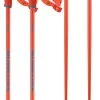 Salomon Hacker S3 Ski Poles
