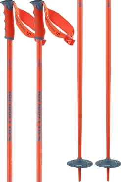 Salomon Hacker S3 Ski Poles