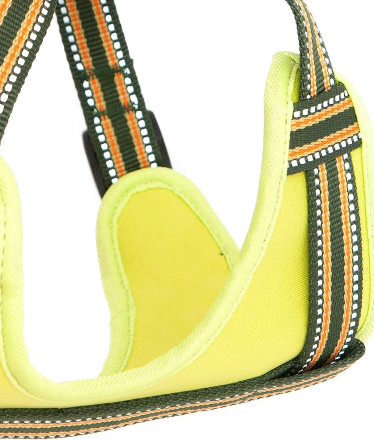 Comfort Step-In Dog Harness Padded Pet Harness 3 Comfort Step-In Dog Harness Padded Pet Harness - Image 3