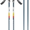 Scott Sun Valley Ski Poles