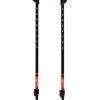 Black Diamond Trail Cork Adjustable Trekking Poles