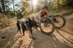 Ruffwear Switchbak Padded Dog Harness + Pockets -Comprehensive outdoor sports WebJPG 3035 Switchbak Harness Anne Bernie DRT Print 39