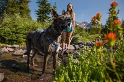 Ruffwear Switchbak Padded Dog Harness + Pockets -Comprehensive outdoor sports WebJPG 3035 Switchbak Harness Granite Gray Soda Creek Print 109