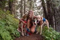 Ruffwear Switchbak Padded Dog Harness + Pockets -Comprehensive outdoor sports WebJPG 3035 Switchbak Harness Nina Running Print 14