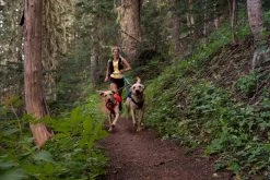 Ruffwear Switchbak Padded Dog Harness + Pockets -Comprehensive outdoor sports WebJPG 3035 Switchbak Harness Nina Running Print 25