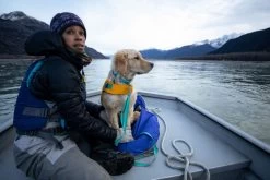 Ruffwear Front Range Collar Webbing Dog Collar 18 Ruffwear Front Range Collar Webbing Dog Collar -Comprehensive outdoor sports WebJPG Chris Sammy PhotoByNathanielWilder PRINT 9 1