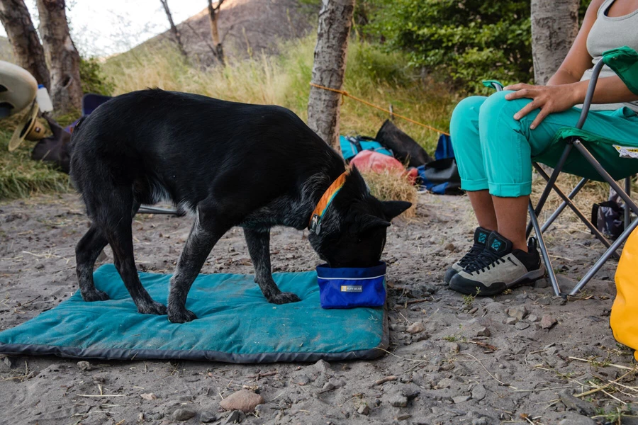 Ruffwear Quencher Dog Water/Food Bowl 9 Ruffwear Quencher Dog Water/Food Bowl - Image 9