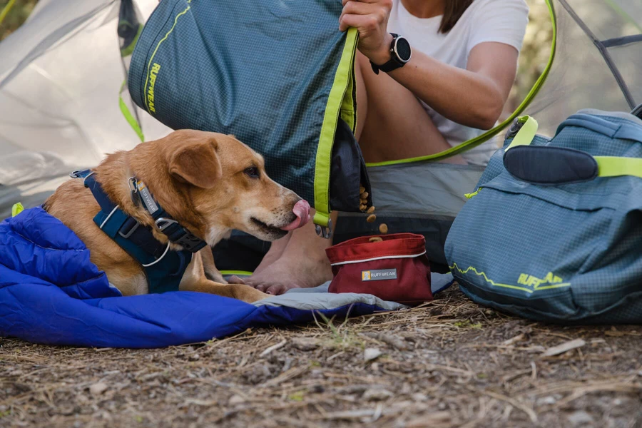 Ruffwear Front Range Collar Webbing Dog Collar 7 Ruffwear Front Range Collar Webbing Dog Collar - Image 7