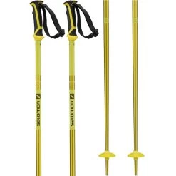Salomon Arctic Ski Poles -Comprehensive outdoor sports aec77680 ec6c 4697 82cc 2ea694f5c6e4 1