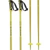 Salomon Arctic Ski Poles