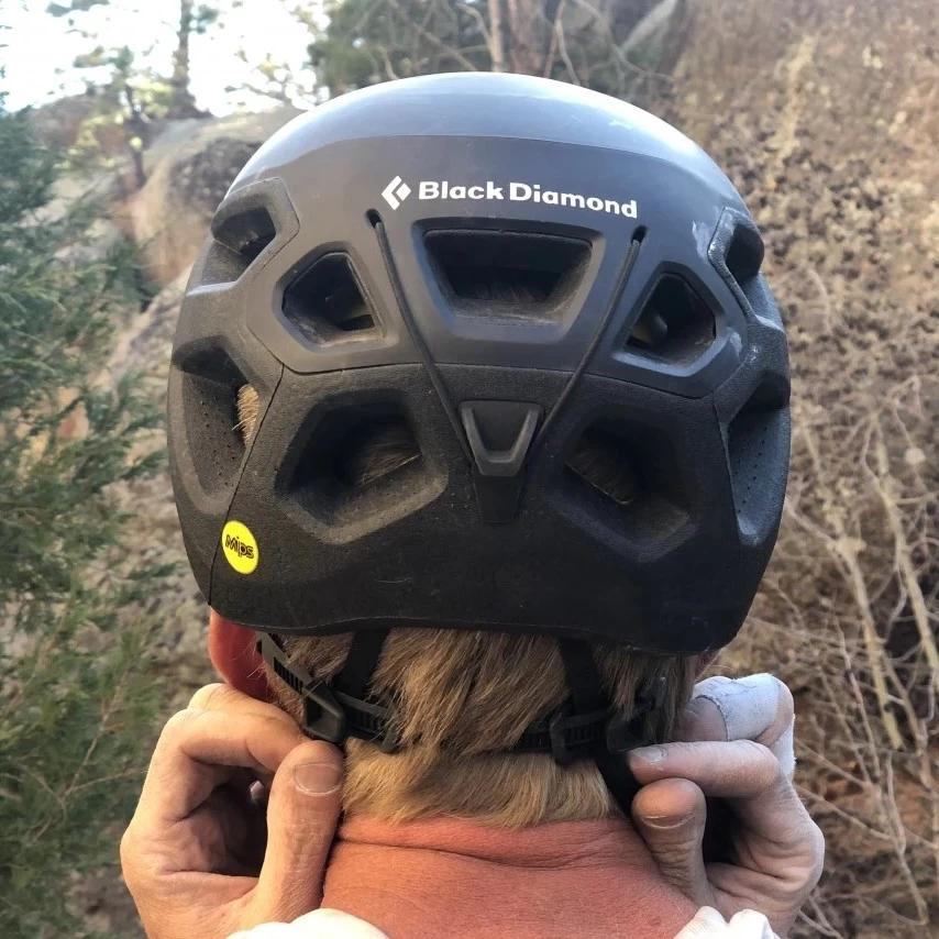 Black Diamond Vision Rock Climbing Helmet 6 Black Diamond Vision Rock Climbing Helmet - Image 6
