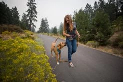 Ruffwear Treat Trader Dog Training Waist-Worn Bag 17 Ruffwear Treat Trader Dog Training Waist-Worn Bag -Comprehensive outdoor sports daca9296 4308 4359 8692 5ffd9a0c1fc6IMG 2564 PRINT