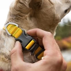 Ruffwear Hi & Light Collar Lightweight Dog Collar -Comprehensive outdoor sports it130