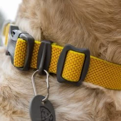 Ruffwear Hi & Light Collar Lightweight Dog Collar -Comprehensive outdoor sports it131