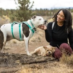 Ruffwear Hi & Light Collar Lightweight Dog Collar -Comprehensive outdoor sports it135