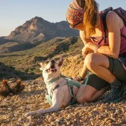 Ruffwear Hi & Light Collar Lightweight Dog Collar -Comprehensive outdoor sports it136