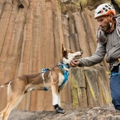 Ruffwear Hi & Light Collar Lightweight Dog Collar -Comprehensive outdoor sports it137