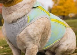 Ruffwear Swamp Cooler Zip Cooling Dog Vest 17 Ruffwear Swamp Cooler Zip Cooling Dog Vest -Comprehensive outdoor sports it144b