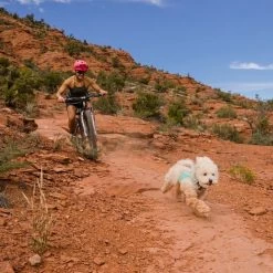 Ruffwear Swamp Cooler Zip Cooling Dog Vest 19 Ruffwear Swamp Cooler Zip Cooling Dog Vest -Comprehensive outdoor sports it145