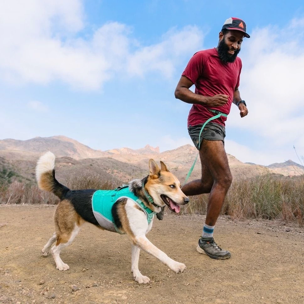 Ruffwear Swamp Cooler Zip Cooling Dog Vest 10 Ruffwear Swamp Cooler Zip Cooling Dog Vest - Image 10