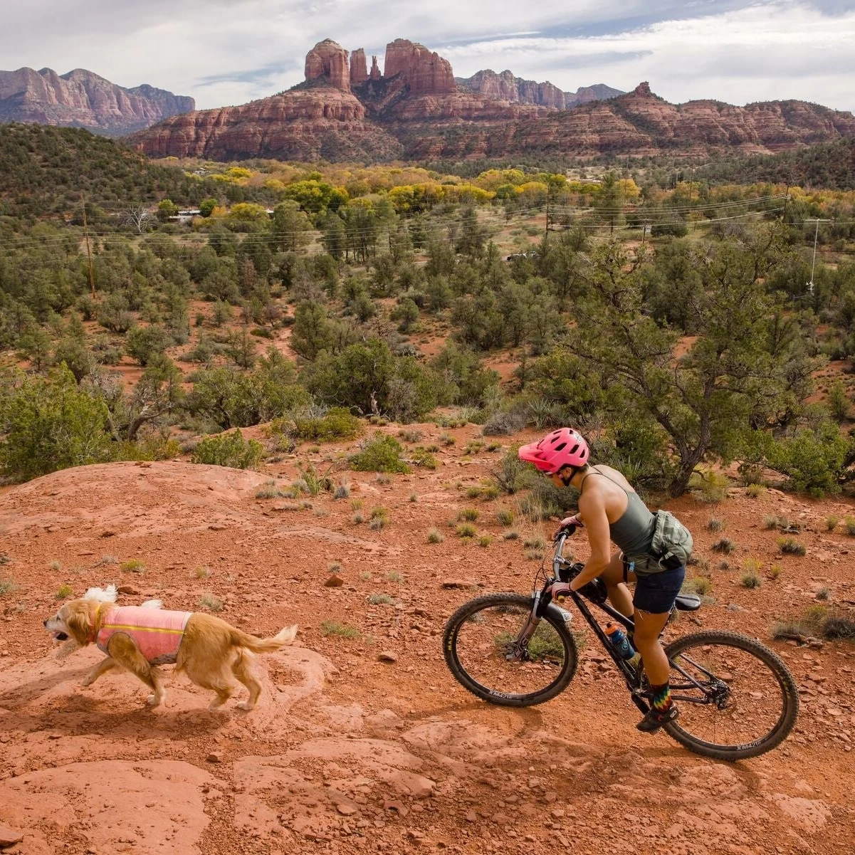 Ruffwear Swamp Cooler Zip Cooling Dog Vest 11 Ruffwear Swamp Cooler Zip Cooling Dog Vest - Image 11