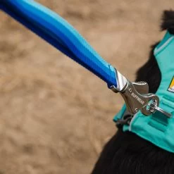 Ruffwear Roamer Leash Stretch Dog Walking Lead -Comprehensive outdoor sports it172
