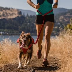 Ruffwear Roamer Leash Stretch Dog Walking Lead -Comprehensive outdoor sports it175