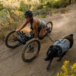 Ruffwear Roamer Leash Stretch Dog Walking Lead -Comprehensive outdoor sports it175a