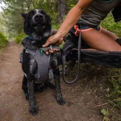 Ruffwear Roamer Leash Stretch Dog Walking Lead -Comprehensive outdoor sports it176