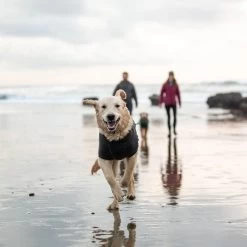 Ruffwear Fernie Dog Sweater Knit Fleece -Comprehensive outdoor sports it183a