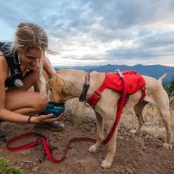 Ruffwear Flat Out Webbing Dog Collar -Comprehensive outdoor sports it186 1