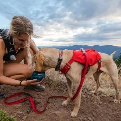 Ruffwear Flat Out Webbing Dog Collar -Comprehensive outdoor sports it186