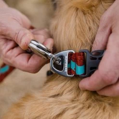 Ruffwear Flat Out Webbing Dog Collar -Comprehensive outdoor sports it187 1