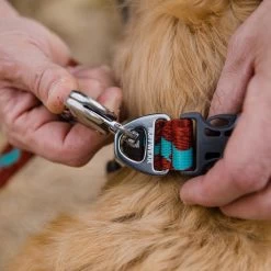 Ruffwear Flat Out Webbing Dog Collar -Comprehensive outdoor sports it187