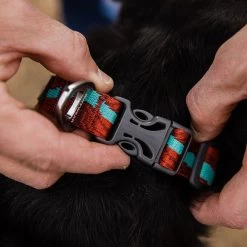 Ruffwear Flat Out Webbing Dog Collar -Comprehensive outdoor sports it188