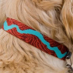 Ruffwear Flat Out Webbing Dog Collar -Comprehensive outdoor sports it189