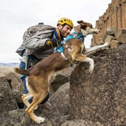 Ruffwear Flagline Lightweight Pet Dog Harness -Comprehensive outdoor sports it67