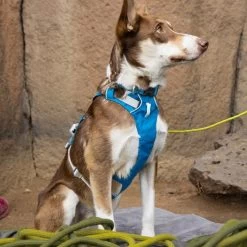 Ruffwear Flagline Lightweight Pet Dog Harness -Comprehensive outdoor sports it67a