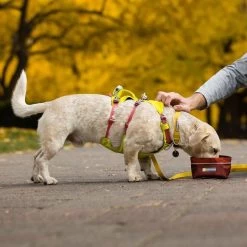 Ruffwear Flagline Lightweight Pet Dog Harness -Comprehensive outdoor sports it68