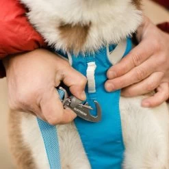 Ruffwear Flagline Lightweight Pet Dog Harness -Comprehensive outdoor sports it69f