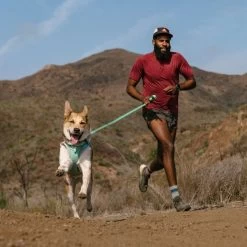 Ruffwear Hi & Light Harness Dog Harness -Comprehensive outdoor sports it90