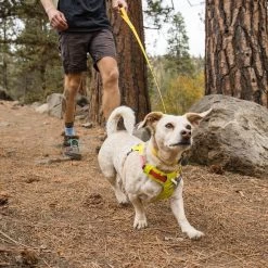 Ruffwear Hi & Light Harness Dog Harness -Comprehensive outdoor sports it91