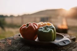 Kupilka Plate 44 Eco-Friendly Camping Tableware -Comprehensive outdoor sports kupilka eco dishware plate 44 18 web